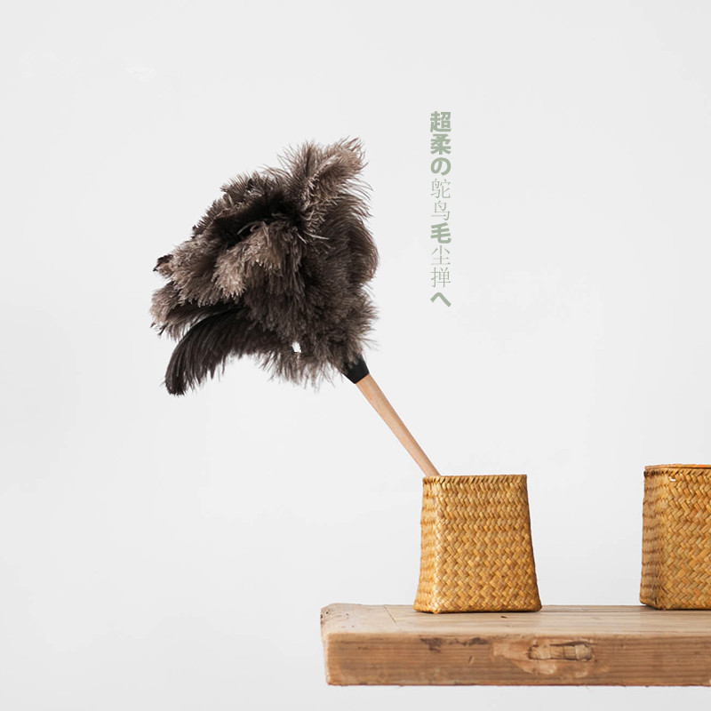 鸵鸟羽毛